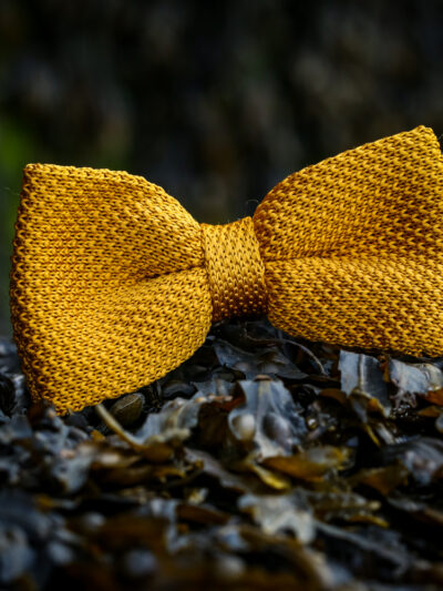 Marc Darcy - Knitted Bow Tie - Gold