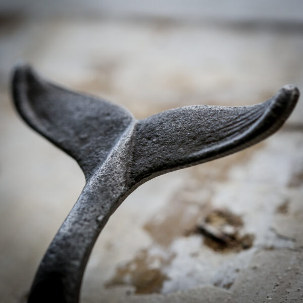 Cast Iron Whale Tail Hook - Image 2
