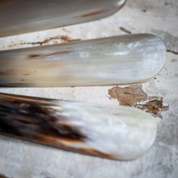 Horn Shoe Horn - Image 7