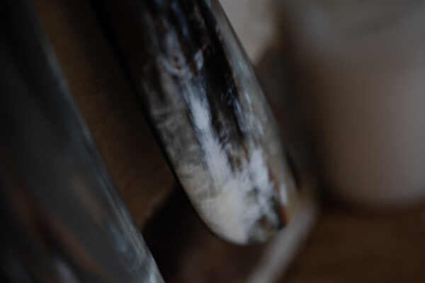 Horn Shoe Horn - Image 9