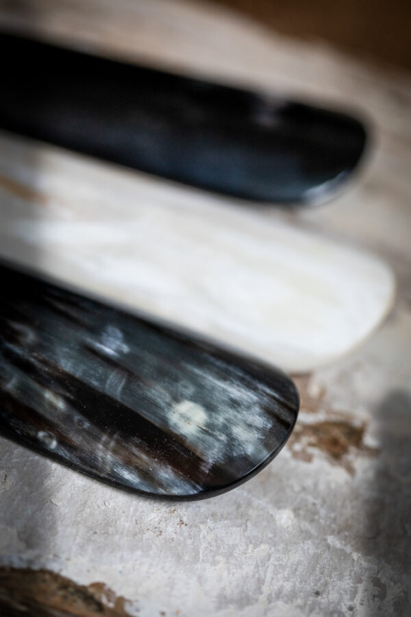 Horn Shoe Horn