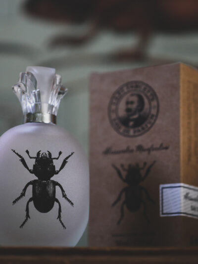 Captain Fawcett - Alessandro Manfredini Eau De Parfum