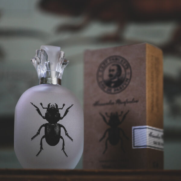 Captain Fawcett - Alessandro Manfredini Eau De Parfum