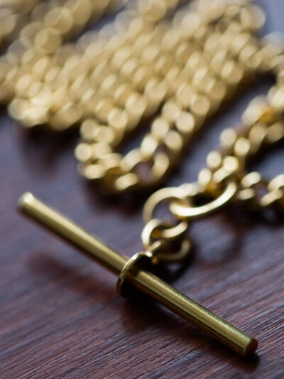 Gold Plated Watch Albert - Single Clasp Small Curb