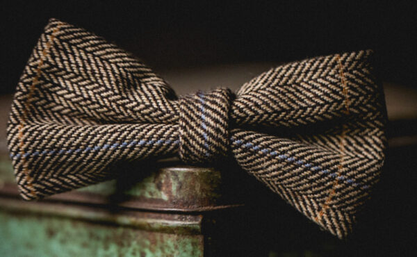 Marc Darcy - Ted Tweed Check Bow Tie - Tan - Image 2