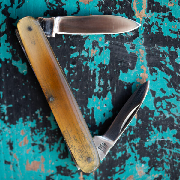 Taylor's Eye Witness - Handmade Twin Blade Pen Knife - Oxhorn