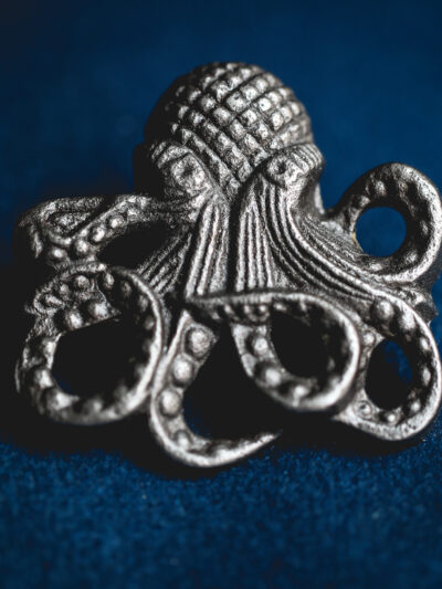 Cast Iron - Octopus Knob