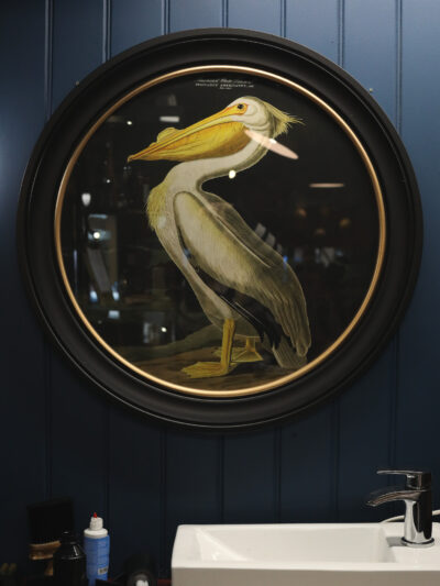c.1838 Pelican Print in Round Frame