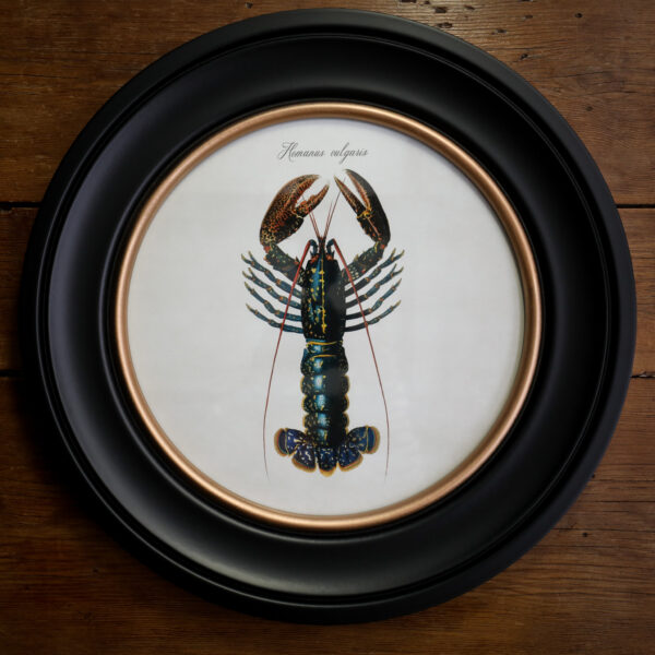 c.1876 Lobster Print in Round Frame - 44cm
