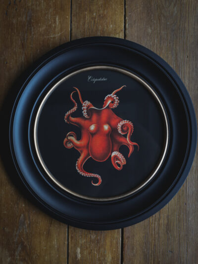 c.1876 Black Octopus Print in Round Frame - 44cm