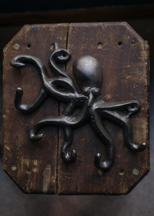 Cast Iron Octopus Key Hook