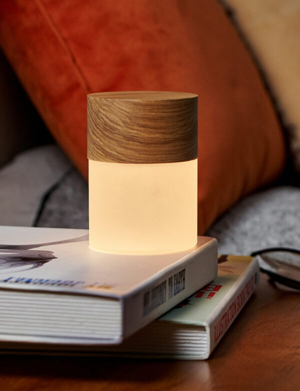 Gingko - Large Lemelia Light - Image 3