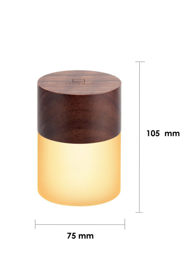 Gingko - Large Lemelia Light - Image 2