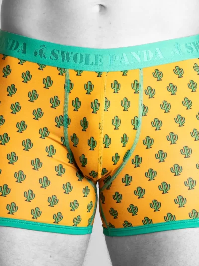 Swole Panda Bamboo Boxers - Cactus