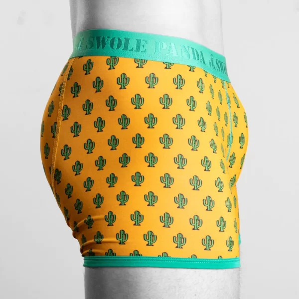 Swole Panda Bamboo Boxers - Cactus - Image 2