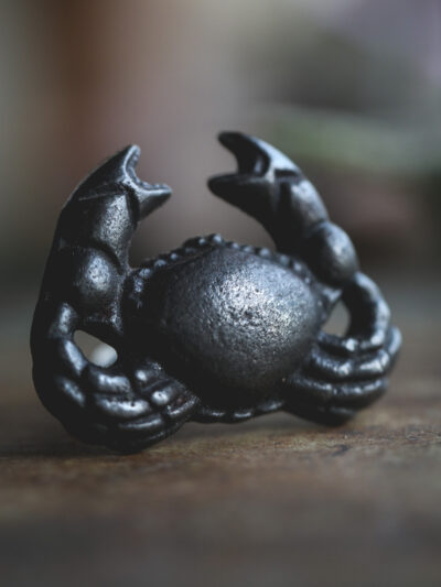 Cast Iron - Crab Knob