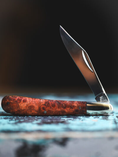 Taylor's Eye Witness - Handmade Gentlemen's Clip Point Pocket Knife - Amboyna